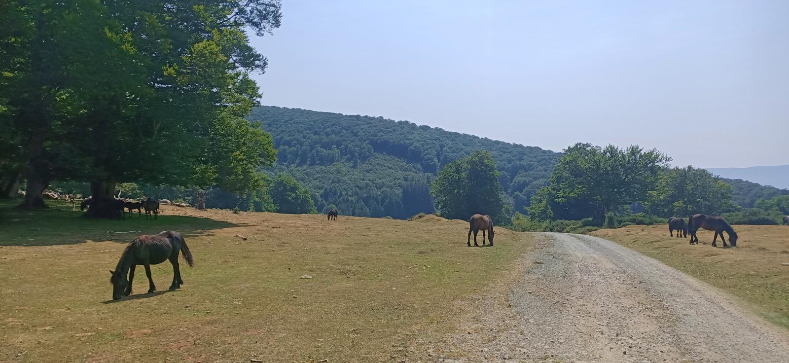 Sierra de Aralar antes de emprender el descenso hacia Arbizu