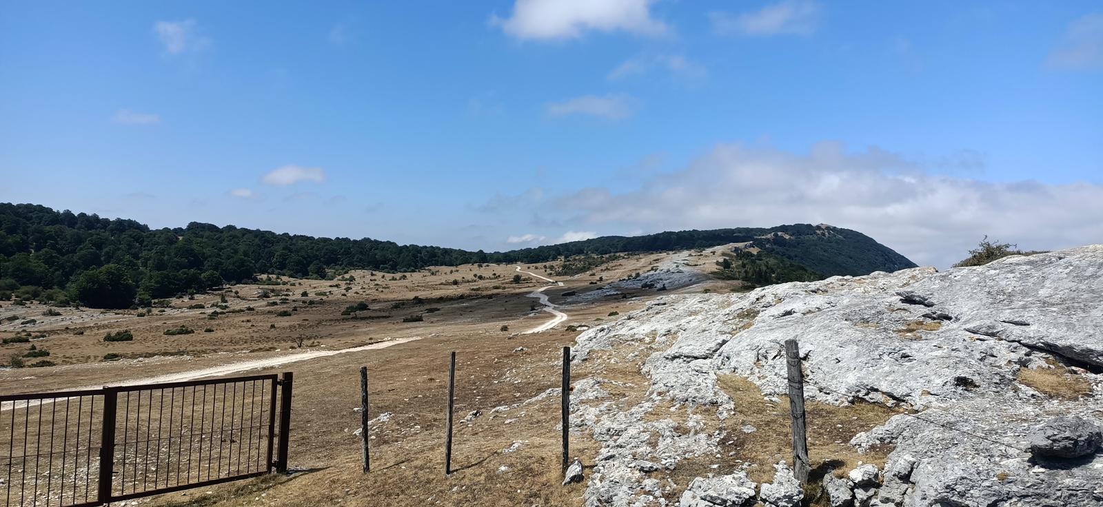 Camino entre Lizarraga y Urbasa