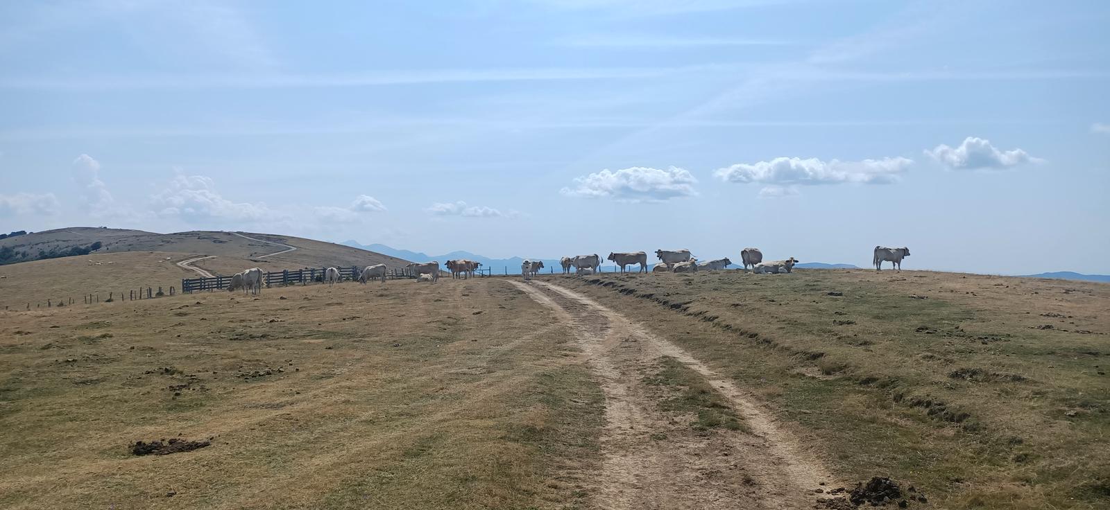 Parte alta de la Sierra de Abodi